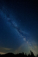 colorful milky way with tree silhouette in the austrian alps in winter