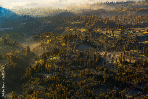 Beautiful Aerial View Of Forest In Early Morning During