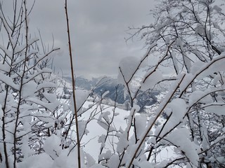 Bonito Paisaje de invierno en la montañas de los carpatos con ramas árboles cubiertos de nieve en Rumania, Trasilvania, pueblo de Parva.