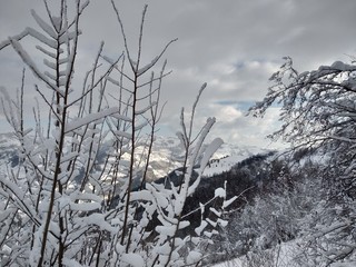Bonito Paisaje de invierno en la montañas de los carpatos con ramas árboles cubiertos de nieve en Rumania, Trasilvania, pueblo de Parva.