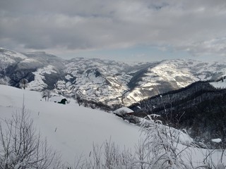  Bonito Paisaje de invierno en la montañas de los carpatos con árboles cubiertos de nieve en...