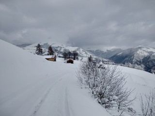 Fototapeta na wymiar Bonito Paisaje de invierno Camino de invierno en la montañas y árboles cubiertos de nieve en Rumania Trasilvania