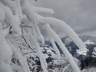 Bonito Paisaje de invierno en la montañas de los carpatos con ramas árboles cubiertos de nieve en...