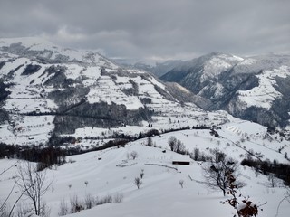  Bonito Paisaje de invierno en la montañas de los carpatos con árboles cubiertos de nieve en...