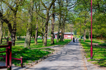 droga do parku wiosenny dzień