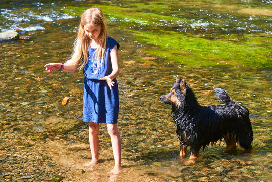 Child blond cute girl playing with her dog in creek.