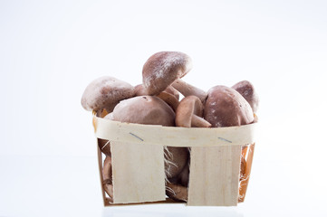 Mushrooms in a wooden basket. Mushrooms in the window.