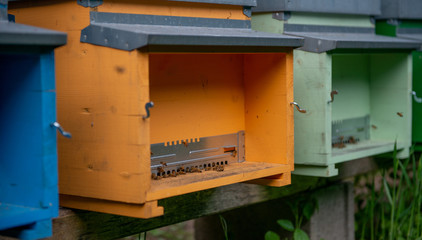 Fototapeta na wymiar beehives