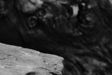 The Edge of a Rock, Showing Selective Focus to the Middle of the Stone, with a Blurred Tree Root Background.