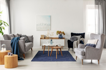 White living room with comfortable armchair, coffee tables and grey scandinavian couch