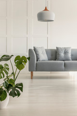 Gray comfortable sofa in stylish living room © Photographee.eu