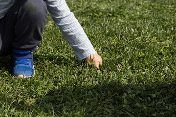the children are playing in the park by the sea with their family.