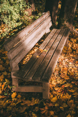 Bench in Chehov house. Melikhovo, Russia.