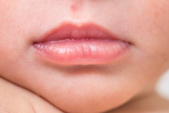 2K Baby - Lips, Standard Length