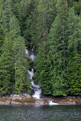 Waterfall in deep Alaskan forest