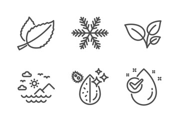 Mint leaves, Leaves and Snowflake icons simple set. Sea mountains, Dirty water and Water drop signs. Mentha herbal, Grow plant. Nature set. Line mint leaves icon. Editable stroke. Vector