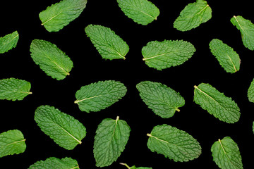 Fototapeta na wymiar Fresh organic green mint leaves isolated on black background.