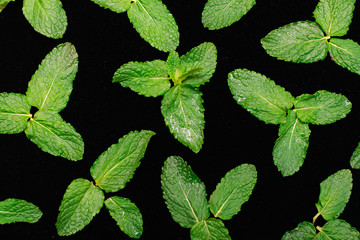 Fototapeta na wymiar Fresh organic green mint leaves isolated on black background.