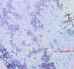 Colorful scratched grunge texture. Dry oil strokes background. Design pattern.