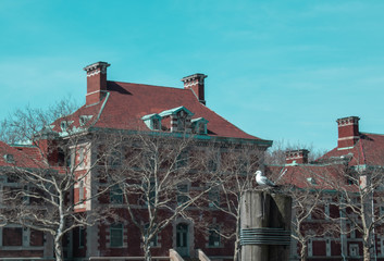 Ellis Island 