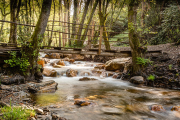 Obraz premium Bridge over a wooded stream in figueiro dos vinhos, leiria, portugal.