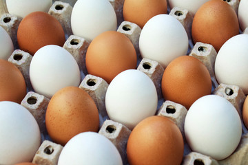 Eggs in paper egg container.