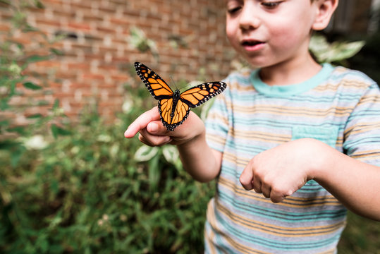 Boy holding Monarch butterfly on his hand and smiling