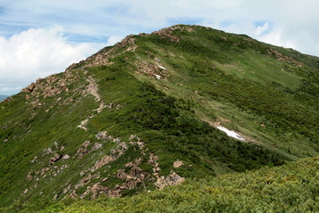 Fototapeta na wymiar 至仏山　山頂への道　夏7月