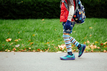 The bottom half off a child displaying unique fashion sense