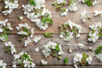 Flat lay composition of beautiful fresh spring flowers on wooden background