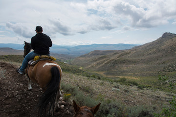 Man on Horse in Open Range