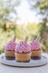 Pink cupcake on plate on blurred background