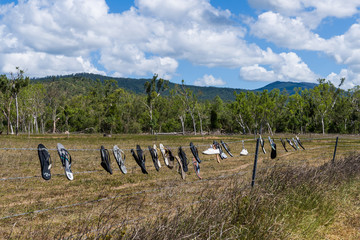 Flip-flops are thongs in Australia - lost and found