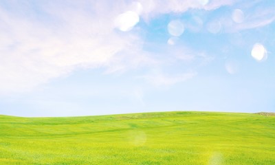 Fototapeta na wymiar Field of green grass with white clouds
