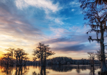 Silhouette of bald cypress trees during sunset at caddo lake on a cloudy day