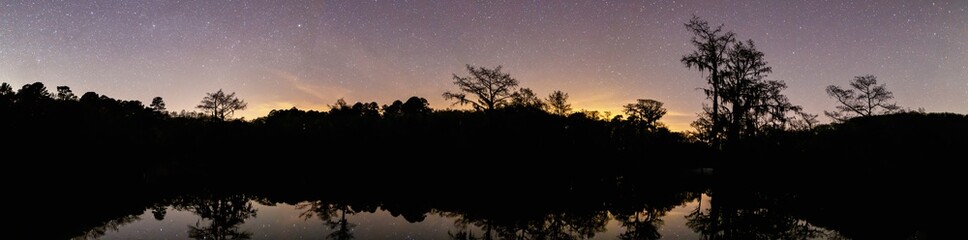 Swamp silhouette panorama at night with stars