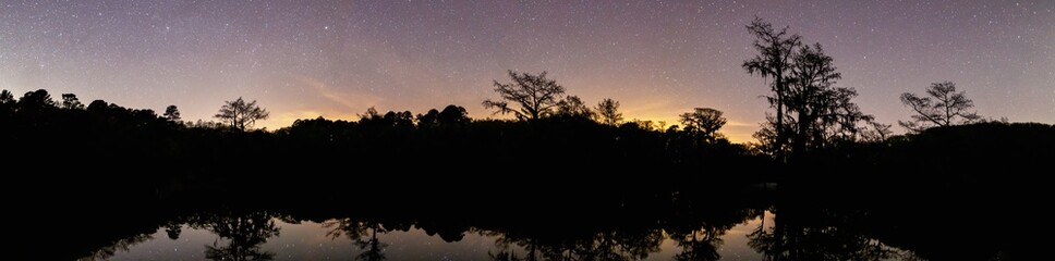 Swamp silhouette panorama at night with stars