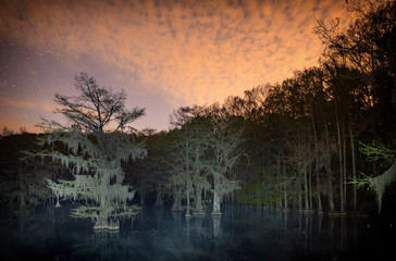 Bright sky at night in the swamp of Caddo Lake with stars