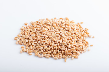Heap of wheat grains isolated on white background.