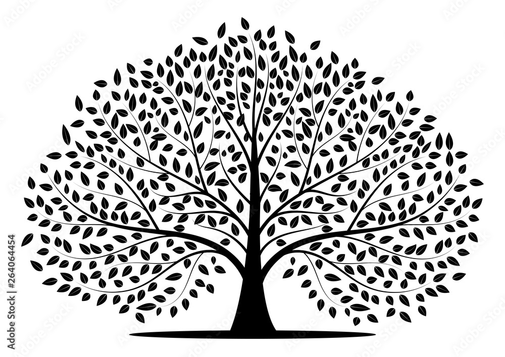 Wall mural tree silhouette isolated on white background.