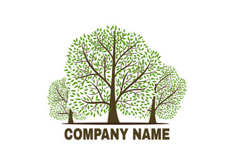 Obraz premium tree vector icon. logo design elements.