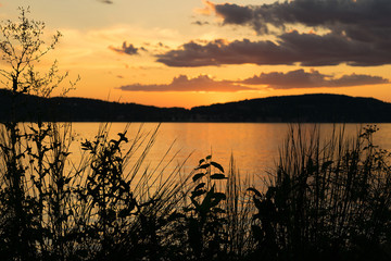 Silhouettes of plants in the foreground, as the sunset adds a beautiful golden glow to the evening sky, Hudson River Valley, Upstate New York, NY