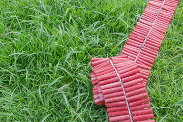 Red Firecrackers on green grass