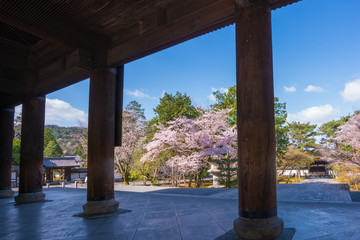 京都　南禅寺の桜