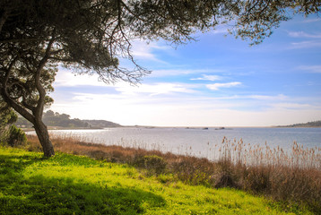 Landscape with tree and lake - Portugal