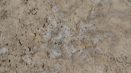 Saline soil. Iraq