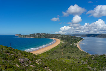 Palm beach