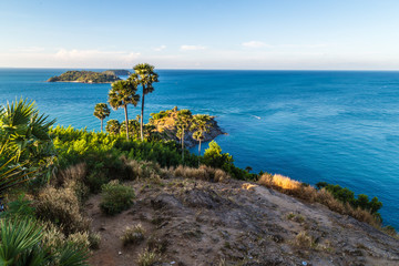 Fototapeta na wymiar Sea coastline island with palm tree blue sky