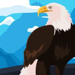 beautiful bald eagle animal in landscape