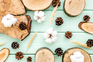 wooden sawcut, immortelle and pine cone pattern for blog on mint green background top view